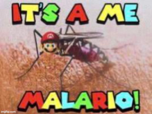 malario | made w/ Imgflip meme maker