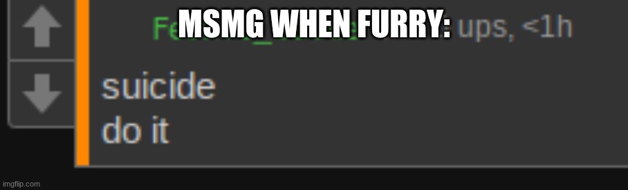 MSMG WHEN FURRY: | made w/ Imgflip meme maker