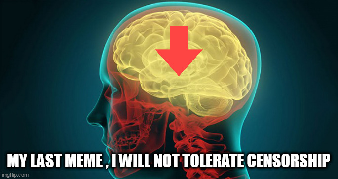 you | MY LAST MEME , I WILL NOT TOLERATE CENSORSHIP | image tagged in you | made w/ Imgflip meme maker