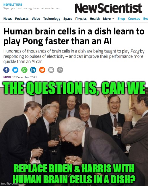 Anything would be an improvement. | THE QUESTION IS, CAN WE; REPLACE BIDEN & HARRIS WITH HUMAN BRAIN CELLS IN A DISH? | image tagged in memes,laughing men in suits,joe biden,kamala harris | made w/ Imgflip meme maker