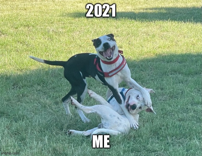 Goodbye 2021 | 2021; ME | image tagged in tumble | made w/ Imgflip meme maker