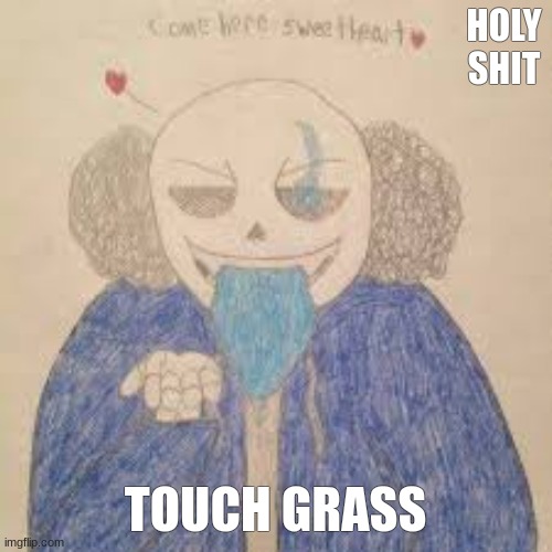 HOLY SHIT; TOUCH GRASS | made w/ Imgflip meme maker