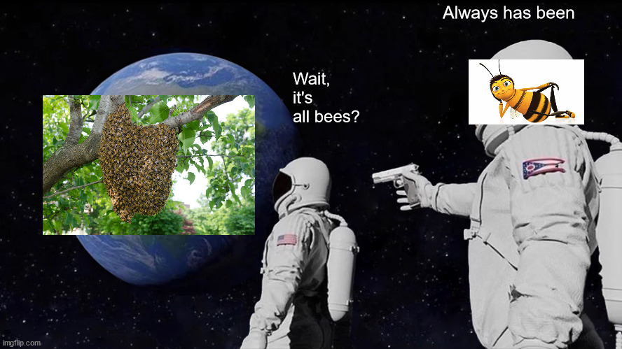 Always Has Been Meme | Wait, it's all bees? Always has been | image tagged in memes,always has been | made w/ Imgflip meme maker