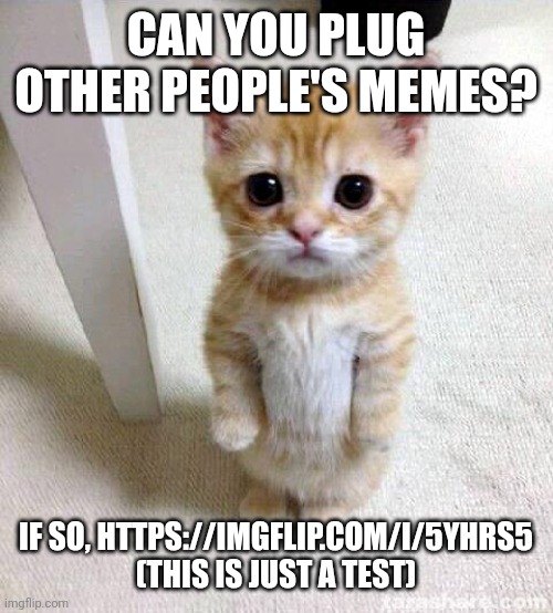 Cute Cat | CAN YOU PLUG OTHER PEOPLE'S MEMES? IF SO, HTTPS://IMGFLIP.COM/I/5YHRS5
(THIS IS JUST A TEST) | image tagged in memes,cute cat | made w/ Imgflip meme maker