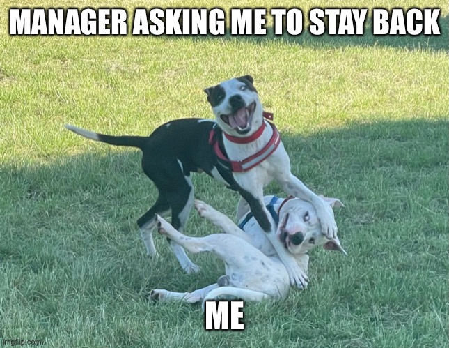 Manager | MANAGER ASKING ME TO STAY BACK; ME | image tagged in tumble | made w/ Imgflip meme maker