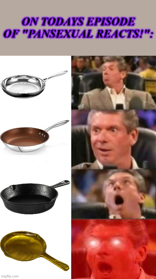 Definitely the worse pan joke I have ever made xD | ON TODAYS EPISODE OF "PANSEXUAL REACTS!": | image tagged in mr mcmahon reaction,pan,pun,memes,funny,lgbtq | made w/ Imgflip meme maker