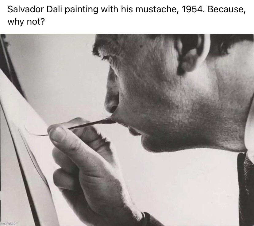 Salvador Dali painting with mustache | image tagged in salvador dali painting with mustache | made w/ Imgflip meme maker