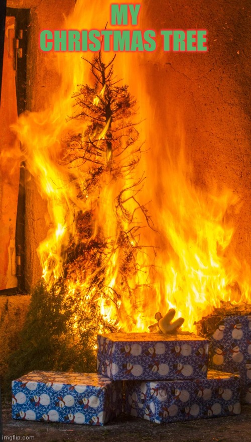 Merry Christmas | MY CHRISTMAS TREE | image tagged in burning,christmas tree,ahhhhhhhhhhhhh,it burns it burns | made w/ Imgflip meme maker