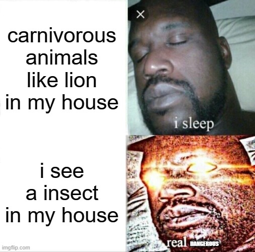 real scary | carnivorous animals like lion in my house; i see a insect in my house; DANGEROUS | image tagged in memes,sleeping shaq,funny,oh wow are you actually reading these tags | made w/ Imgflip meme maker