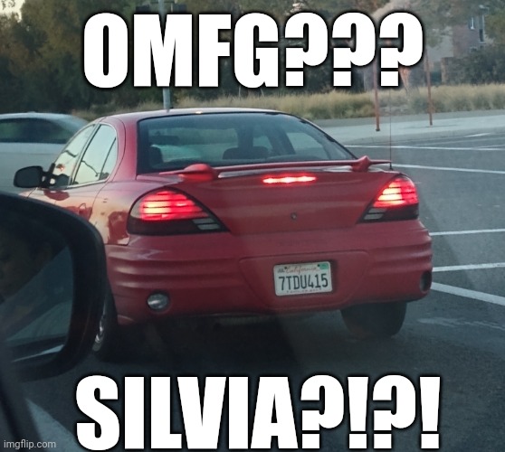 What? | OMFG??? SILVIA?!?! | image tagged in fake silvia s15 | made w/ Imgflip meme maker