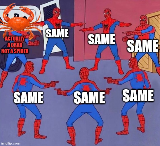 I don't know why I do anything that I do. | SAME; SAME; SAME; ACTUALLY A CRAB NOT A SPIDER; SAME; SAME; SAME | image tagged in same spider man 7,i dont know,but why why would you do that,crab | made w/ Imgflip meme maker