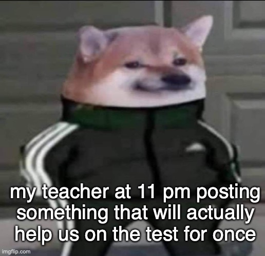 h e d I d I t (it's like he expects us to be on at midnight....) | my teacher at 11 pm posting something that will actually help us on the test for once | image tagged in slav doge | made w/ Imgflip meme maker