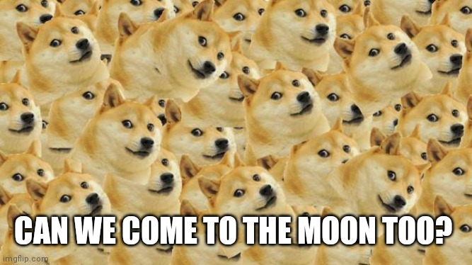 Multi Doge Meme | CAN WE COME TO THE MOON TOO? | image tagged in memes,multi doge | made w/ Imgflip meme maker