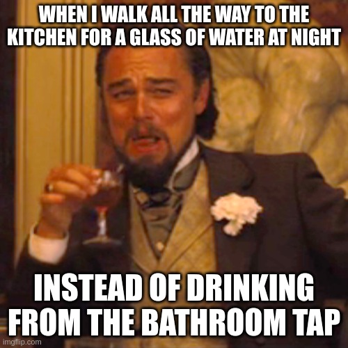 getting fancy ;P | WHEN I WALK ALL THE WAY TO THE KITCHEN FOR A GLASS OF WATER AT NIGHT; INSTEAD OF DRINKING FROM THE BATHROOM TAP | image tagged in memes,laughing leo,fancy,water,bathroom,thirsty | made w/ Imgflip meme maker