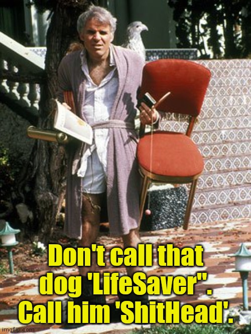 The jerk all I need | Don't call that dog 'LifeSaver".
Call him 'ShitHead'. | image tagged in the jerk all i need | made w/ Imgflip meme maker