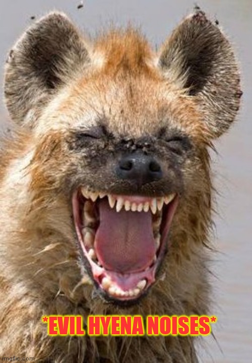 lol funny | *EVIL HYENA NOISES* | image tagged in lol funny | made w/ Imgflip meme maker