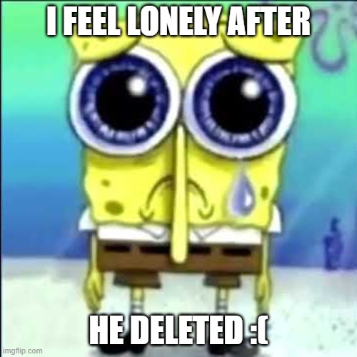 Sad Spongebob | I FEEL LONELY AFTER; HE DELETED :( | image tagged in sad spongebob | made w/ Imgflip meme maker