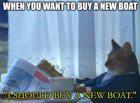 my memes are stupid | WHEN YOU WANT TO BUY A NEW BOAT; "I SHOULD BUY A NEW BOAT." | image tagged in memes,i should buy a boat cat | made w/ Imgflip meme maker