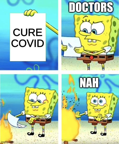 mmmmhmmmm | DOCTORS; CURE COVID; NAH | image tagged in spongebob burning paper | made w/ Imgflip meme maker