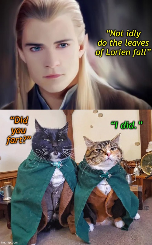 Cute Little Stinkers Are They Not? | “Not idly do the leaves of Lorien fall”; “Did
you
fart?”; “I did.” | image tagged in funny memes,funny cats,the lord of the rings | made w/ Imgflip meme maker