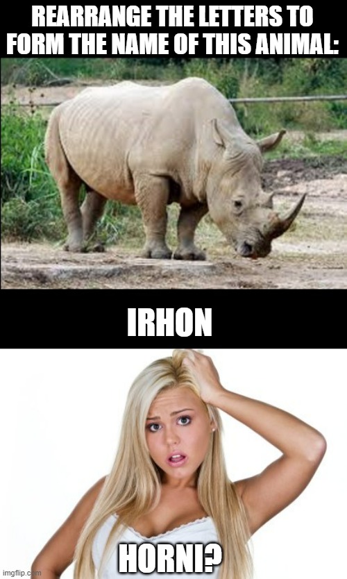 Yes, there really are people this dumb. | REARRANGE THE LETTERS TO FORM THE NAME OF THIS ANIMAL:; IRHON; HORNI? | image tagged in dumb blonde | made w/ Imgflip meme maker