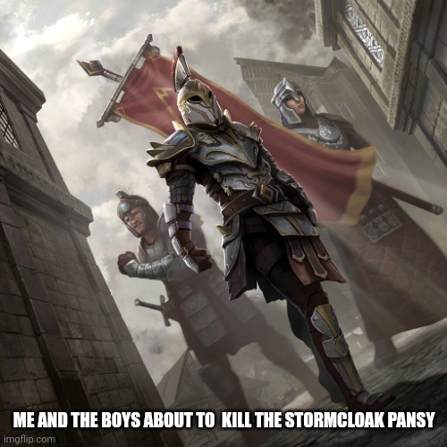 ME AND THE BOYS ABOUT TO  KILL THE STORMCLOAK PANSY | made w/ Imgflip meme maker