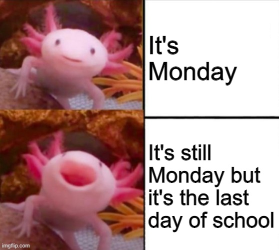 yay | It's Monday; It's still Monday but it's the last day of school | image tagged in axolotl drake | made w/ Imgflip meme maker