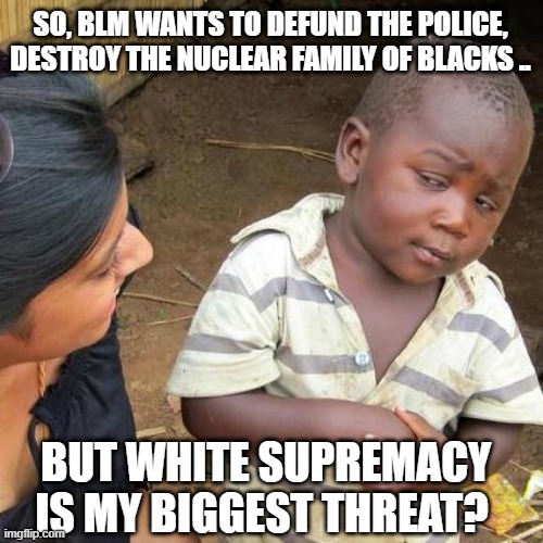 Third World Skeptical Kid |  SO, BLM WANTS TO DEFUND THE POLICE, DESTROY THE NUCLEAR FAMILY OF BLACKS .. BUT WHITE SUPREMACY IS MY BIGGEST THREAT? | image tagged in memes,third world skeptical kid | made w/ Imgflip meme maker