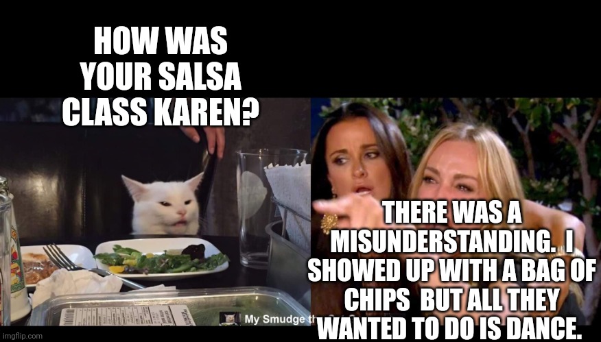 HOW WAS YOUR SALSA CLASS KAREN? THERE WAS A MISUNDERSTANDING.  I SHOWED UP WITH A BAG OF CHIPS  BUT ALL THEY WANTED TO DO IS DANCE. | image tagged in smudge the cat | made w/ Imgflip meme maker