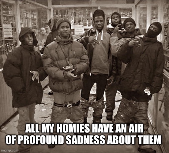 All My Homies Hate | ALL MY HOMIES HAVE AN AIR OF PROFOUND SADNESS ABOUT THEM | image tagged in all my homies hate | made w/ Imgflip meme maker