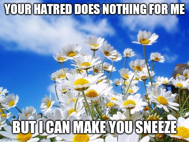 I Grow No Matter What You Do |  YOUR HATRED DOES NOTHING FOR ME; BUT I CAN MAKE YOU SNEEZE | image tagged in spring daisy flowers,winter is coming,fighting | made w/ Imgflip meme maker