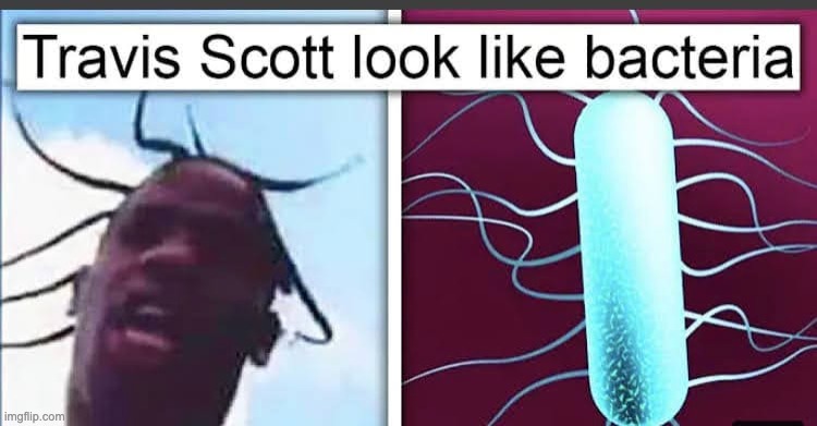 Travis Snot | image tagged in memes,unfunny | made w/ Imgflip meme maker