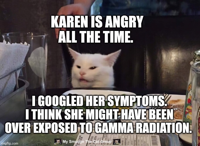 KAREN IS ANGRY ALL THE TIME. I GOOGLED HER SYMPTOMS. I THINK SHE MIGHT HAVE BEEN OVER EXPOSED TO GAMMA RADIATION. | image tagged in smudge the cat | made w/ Imgflip meme maker