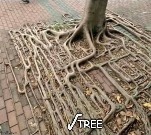 Sq.root | √; TREE | image tagged in math is math | made w/ Imgflip meme maker