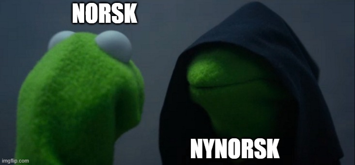 Evil Kermit Meme | NORSK; NYNORSK | image tagged in memes,evil kermit | made w/ Imgflip meme maker