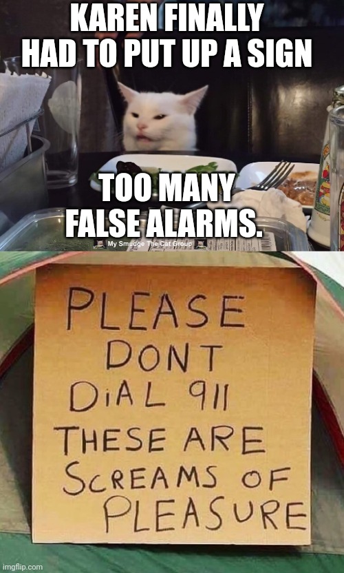 KAREN FINALLY HAD TO PUT UP A SIGN; TOO MANY FALSE ALARMS. | image tagged in smudge the cat | made w/ Imgflip meme maker