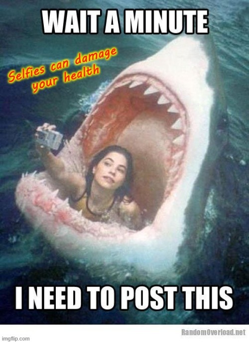 Selfies can damage your health ! | image tagged in travelonshark | made w/ Imgflip meme maker