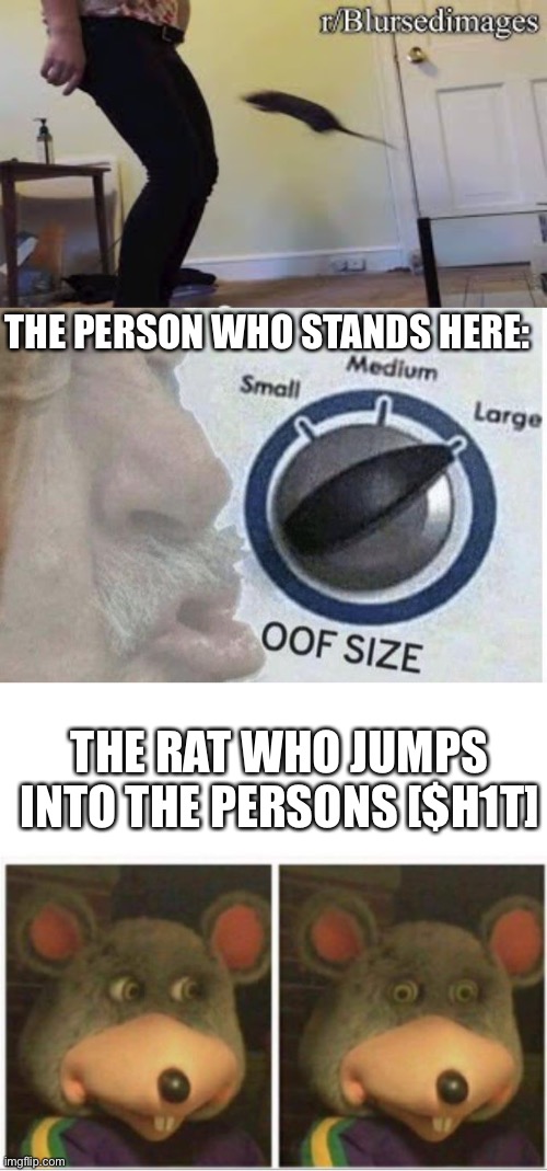 The painful way to start launching a rat infront of you | THE PERSON WHO STANDS HERE:; THE RAT WHO JUMPS INTO THE PERSONS [$H1T] | image tagged in oof size large,chuck e cheese rat stare | made w/ Imgflip meme maker