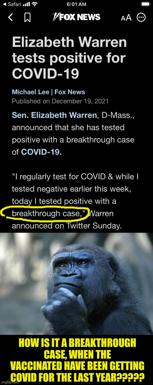 HOW IS IT A BREAKTHROUGH CASE, WHEN THE VACCINATED HAVE BEEN GETTING COVID FOR THE LAST YEAR????? | image tagged in deep thoughts,breaking news,break,name one character who went through more pain than her | made w/ Imgflip meme maker