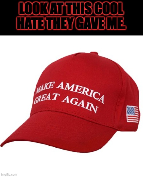 MAGA HAT | LOOK AT THIS COOL HATE THEY GAVE ME. | image tagged in maga hat | made w/ Imgflip meme maker