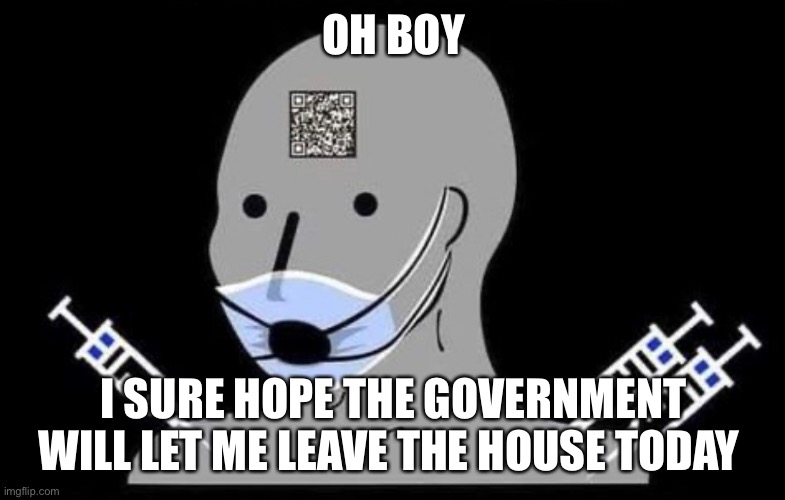 Sad NPC | OH BOY; I SURE HOPE THE GOVERNMENT WILL LET ME LEAVE THE HOUSE TODAY | image tagged in npc,covid,covid-19,paranoia,liberal,liberal logic | made w/ Imgflip meme maker