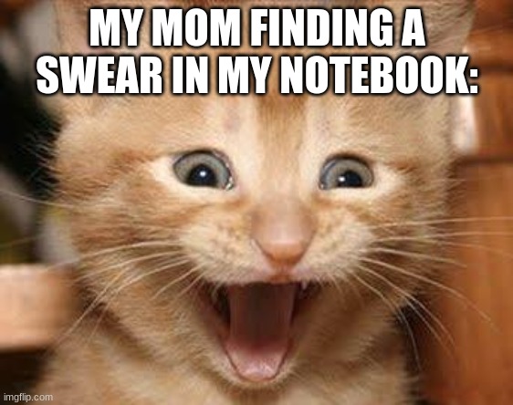 she is scared | MY MOM FINDING A SWEAR IN MY NOTEBOOK: | image tagged in memes,excited cat | made w/ Imgflip meme maker