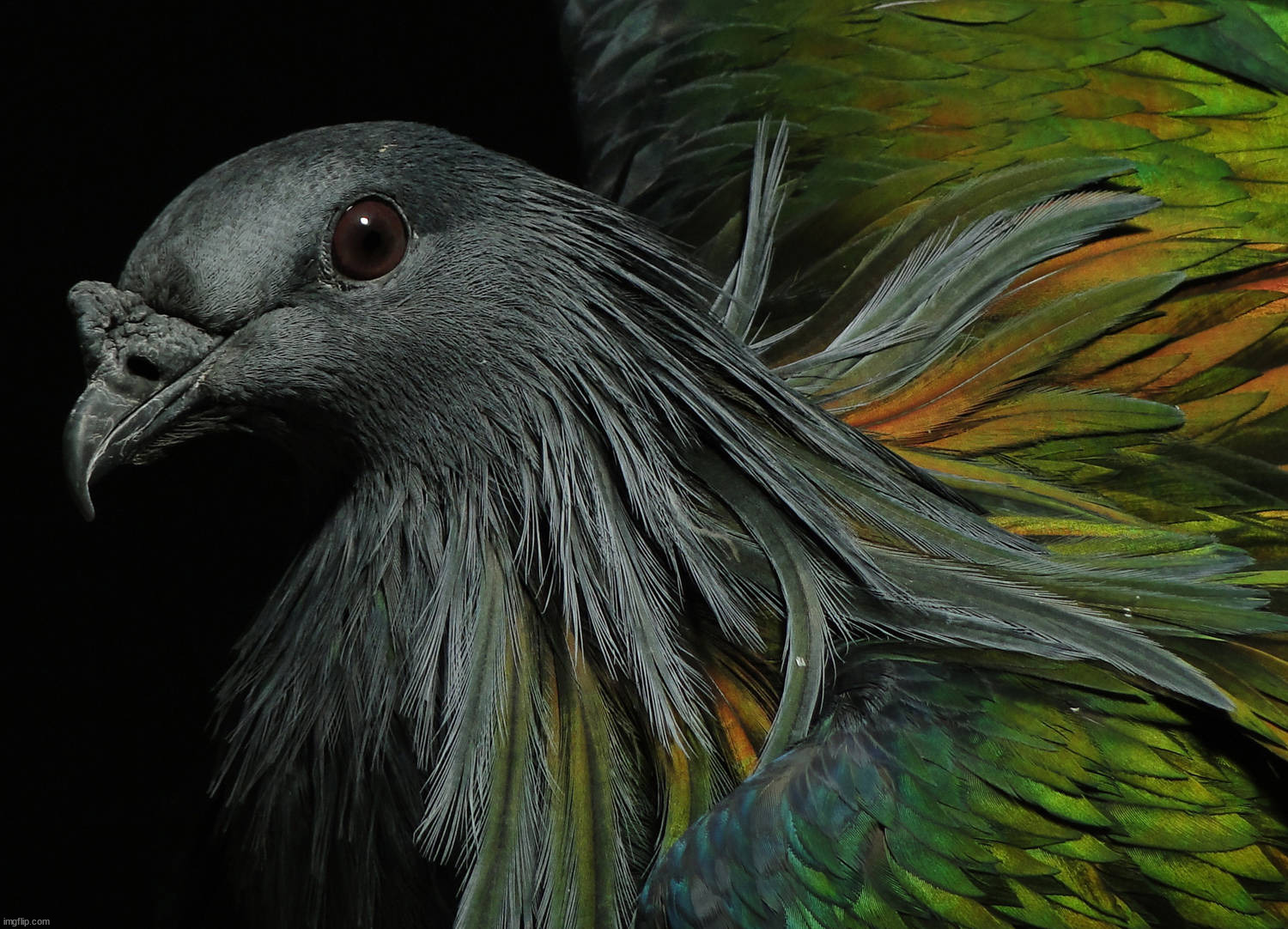 image tagged in awesome | made w/ Imgflip meme maker