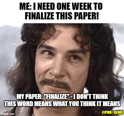 Shut up paper! | ME: I NEED ONE WEEK TO 
FINALIZE THIS PAPER! MY PAPER: "FINALIZE" - I DON'T THINK THIS WORD MEANS WHAT YOU THINK IT MEANS; @PHD_GENIE | image tagged in i do not think that means what you think it means | made w/ Imgflip meme maker