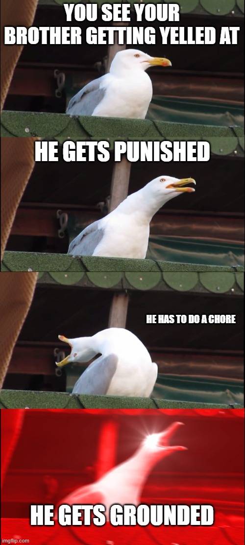 Inhaling Seagull | YOU SEE YOUR BROTHER GETTING YELLED AT; HE GETS PUNISHED; HE HAS TO DO A CHORE; HE GETS GROUNDED | image tagged in memes,inhaling seagull | made w/ Imgflip meme maker