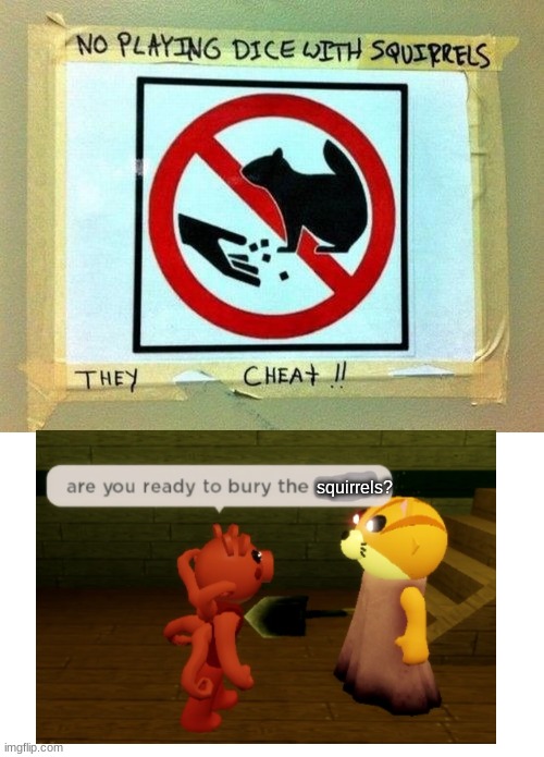 no title here so stop reading it | squirrels? | image tagged in squirrel,cheating | made w/ Imgflip meme maker