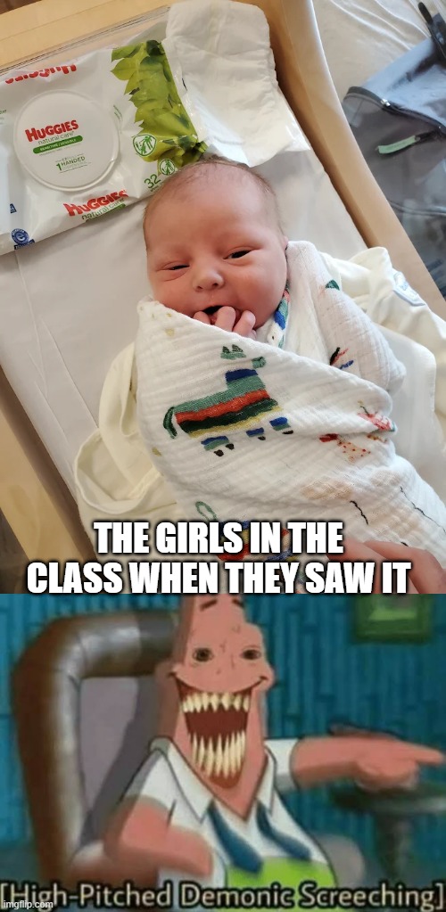 THE GIRLS IN THE CLASS WHEN THEY SAW IT | image tagged in high-pitched demonic screeching | made w/ Imgflip meme maker