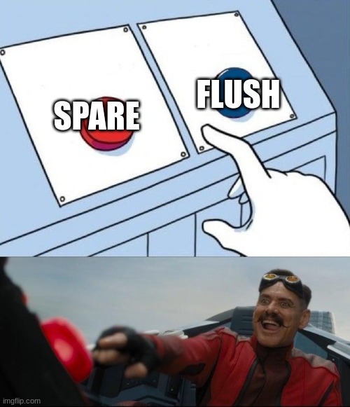 Sonic Button Decision | FLUSH SPARE | image tagged in sonic button decision | made w/ Imgflip meme maker