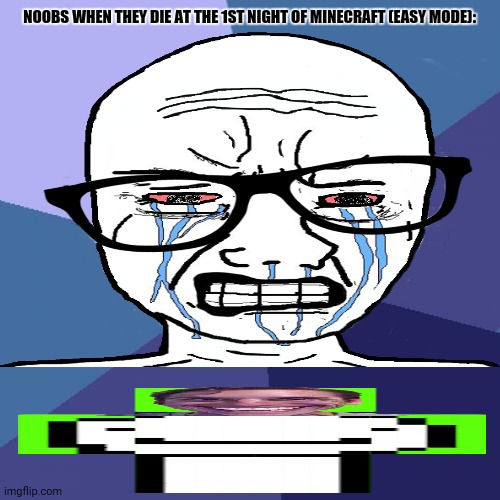 NOOBS WHEN THEY DIE AT THE 1ST NIGHT OF MINECRAFT (EASY MODE): | image tagged in memes,noob,craft | made w/ Imgflip meme maker