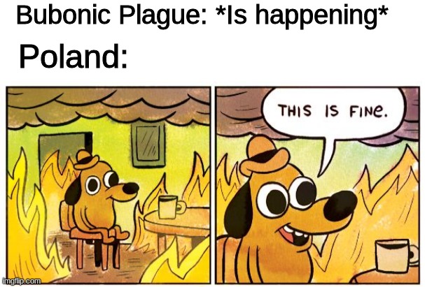 poland | Bubonic Plague: *Is happening*; Poland: | image tagged in memes,this is fine,funny,history,poland,plague | made w/ Imgflip meme maker